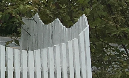 white fence